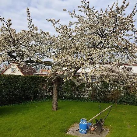 Apartmán Ostseestrandlaeufer 2 *