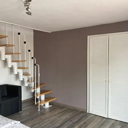 Ostseestrandlaeufer 2 Zingst