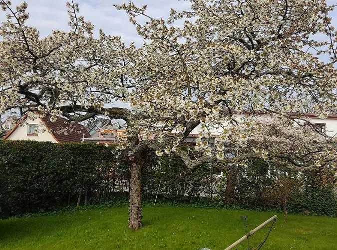 דירה Ostseestrandlaeufer 2 *