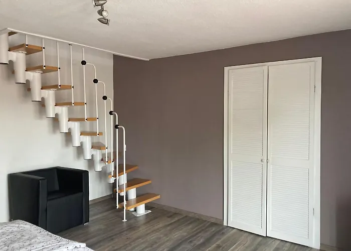 Ostseestrandlaeufer 2 זינקסט