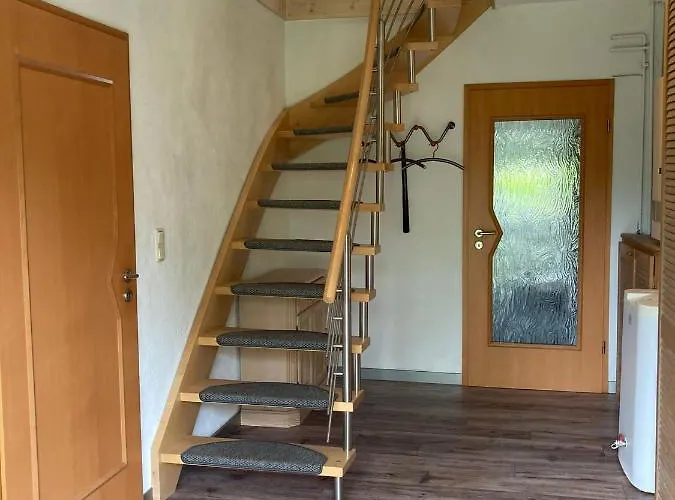 Ostseestrandlaeufer 2